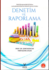 Denetim ve Raporlama