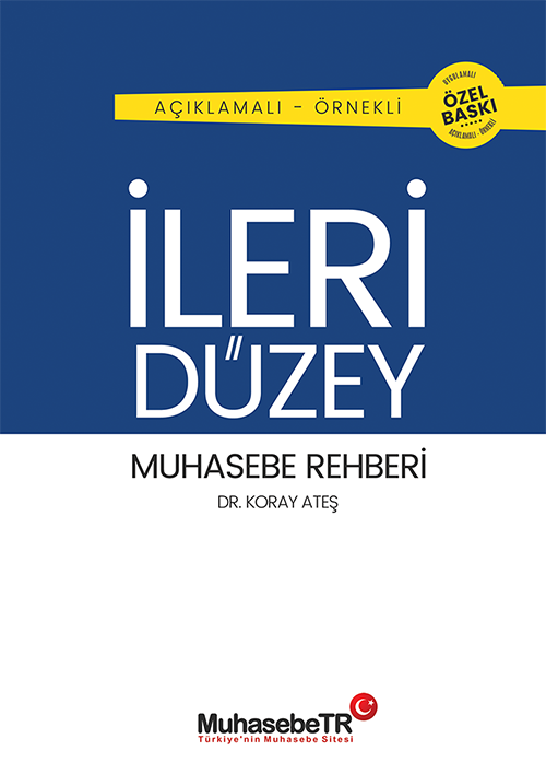 İleri Düzey Muhasebe Rehberi