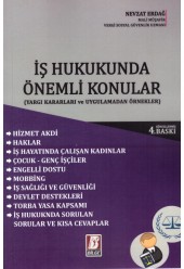 İş Hukukunda Önemli Konular Yargı Kararları ve Uygulamadan Örneklerle